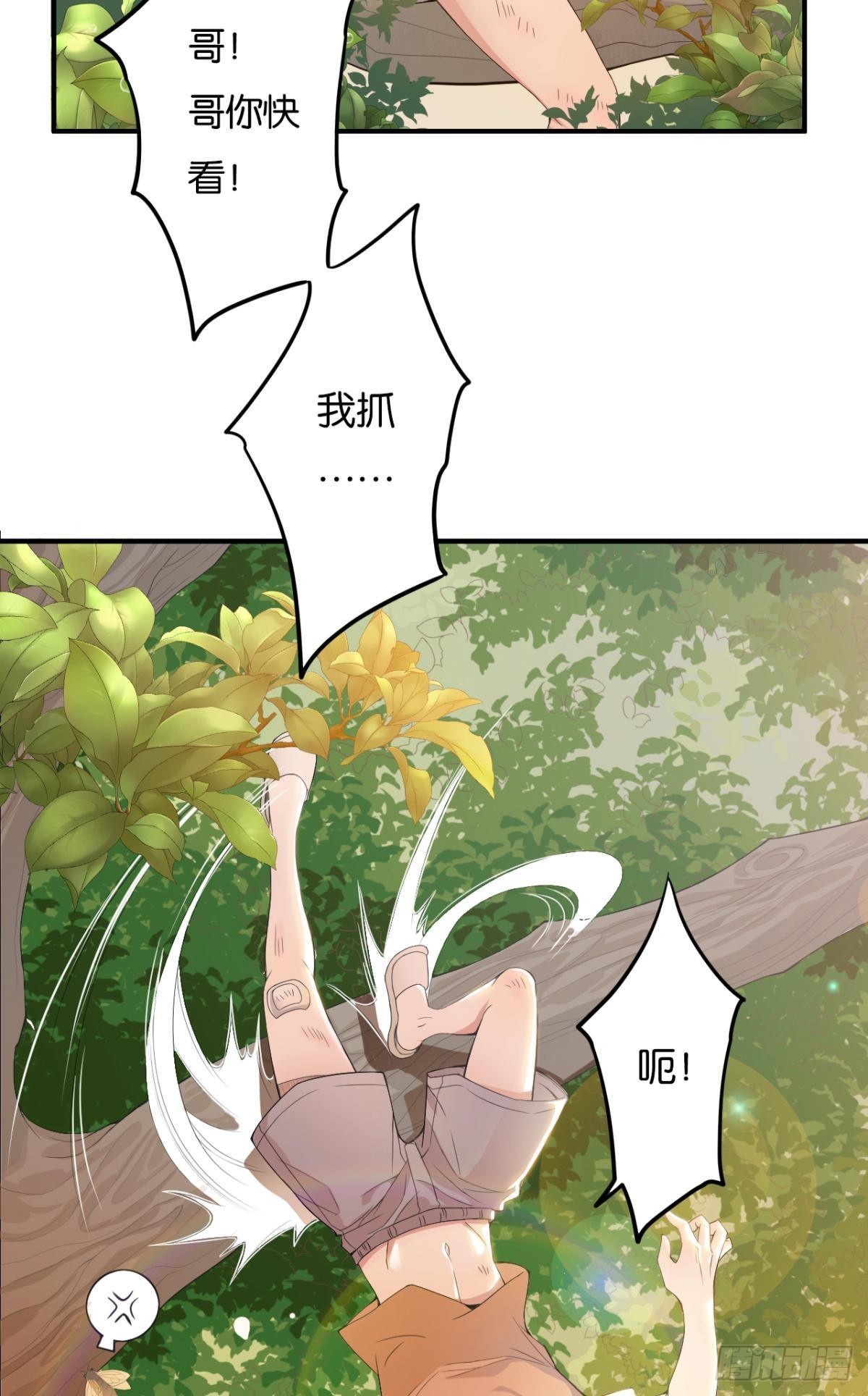 哥，你怎么不吃肉27