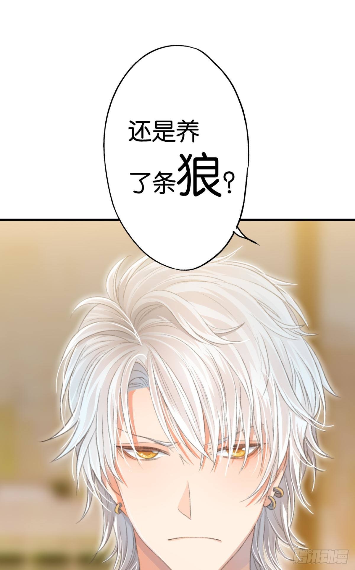 养了一只狼42