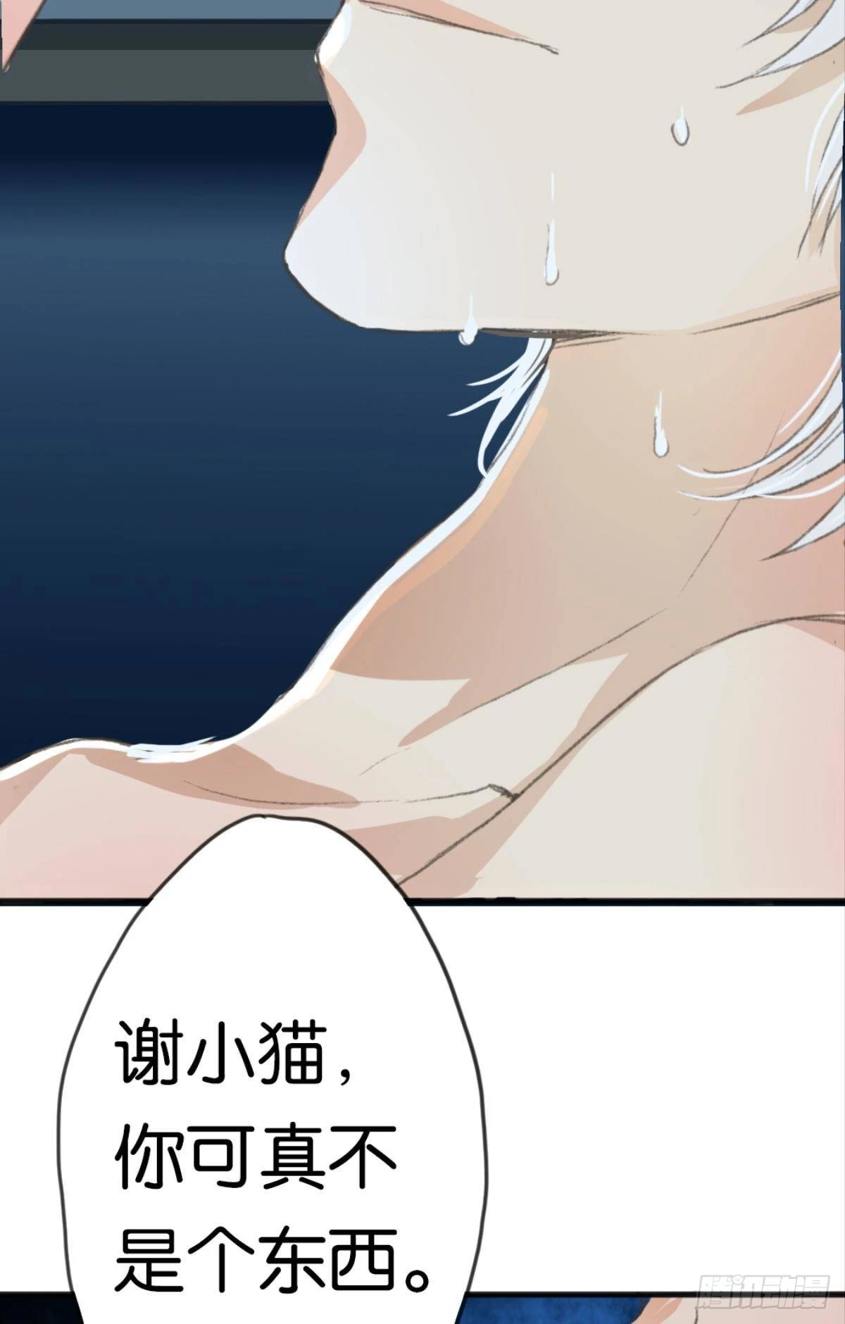 谢小猫，你真不是个东西57