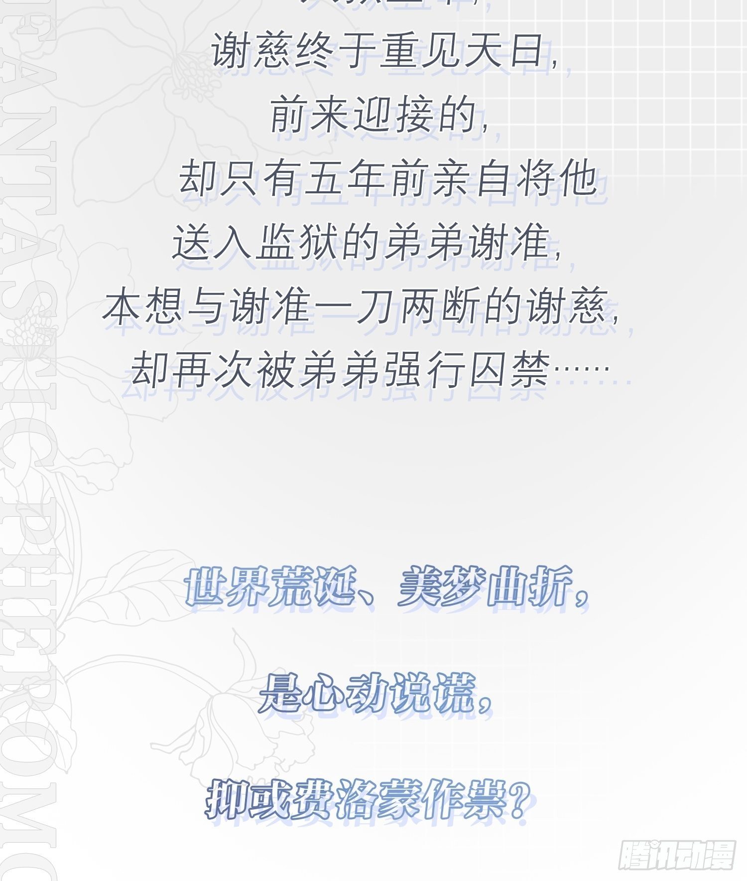 放料1：人设公开1
