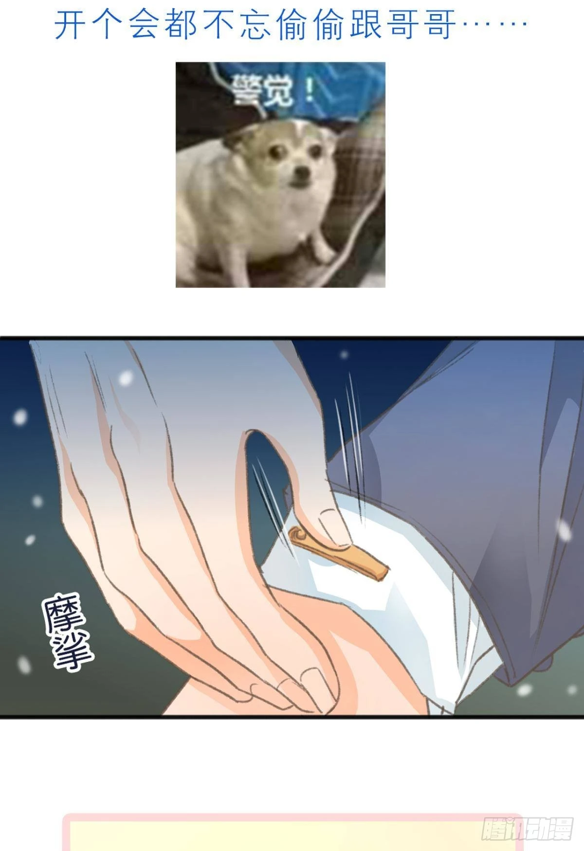 谢小猫，你真不是个东西62