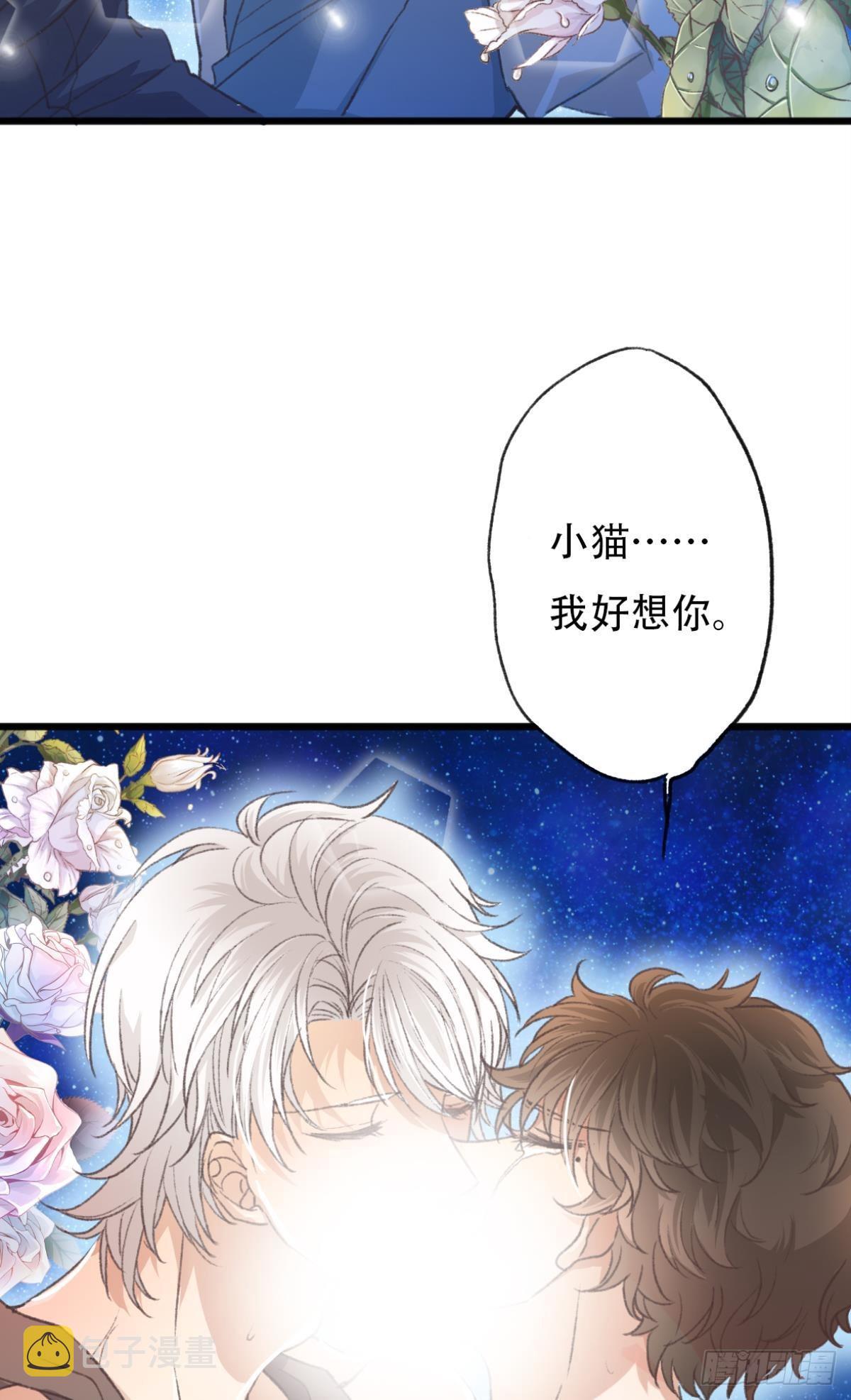 你回来了15