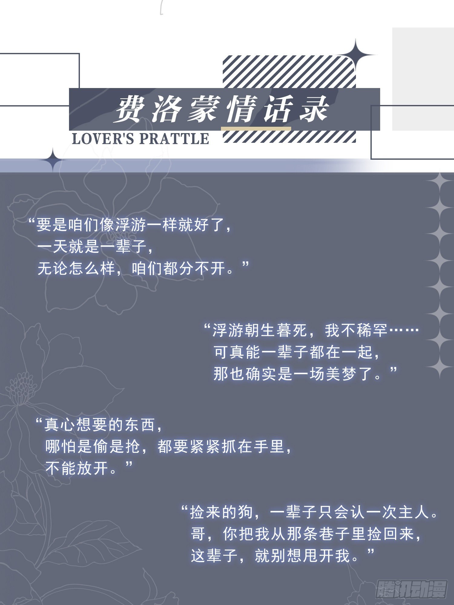 放料1：人设公开5