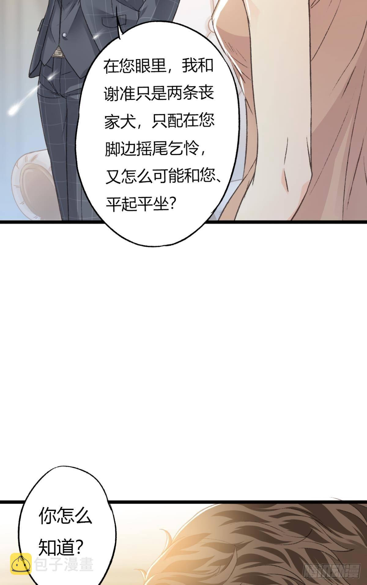 小猫死而复生？5