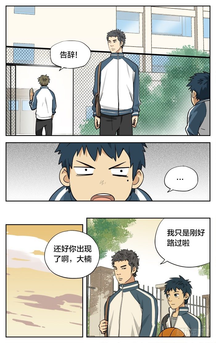 06.大楠3