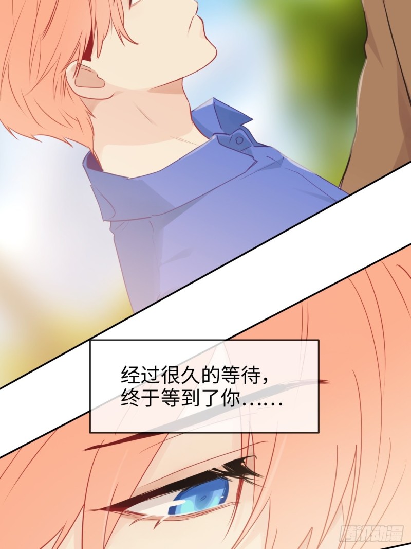 第128话：相濡易木33