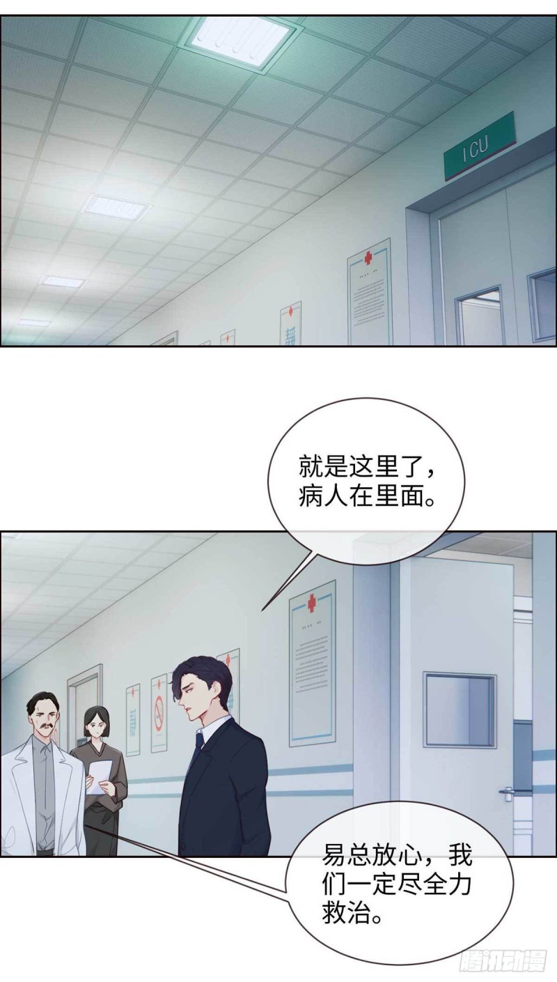 第140话：吃飞醋的易总13