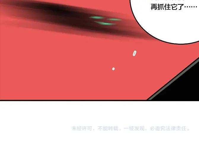 第43话 宠物市场113