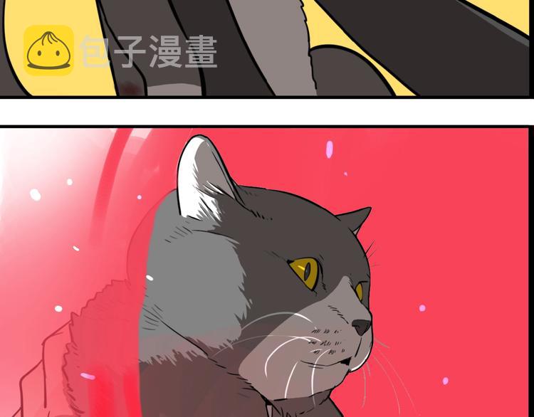 第19话 群猫36