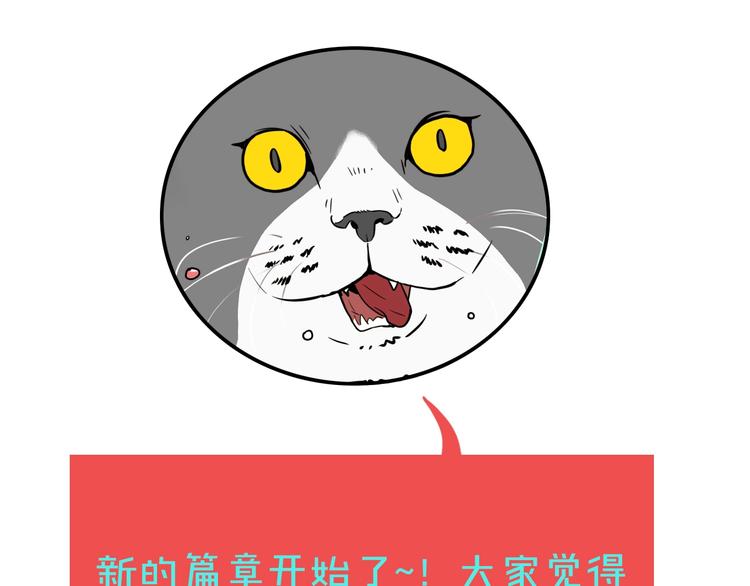 第19话 群猫104