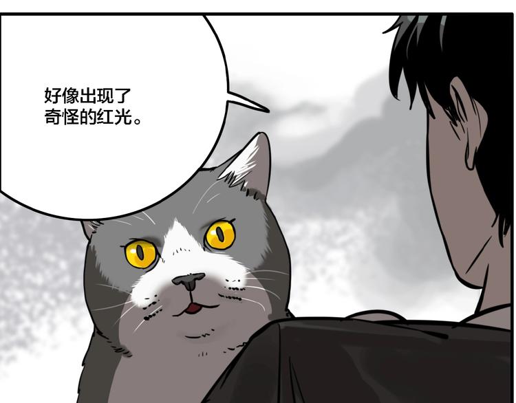 第19话 群猫42