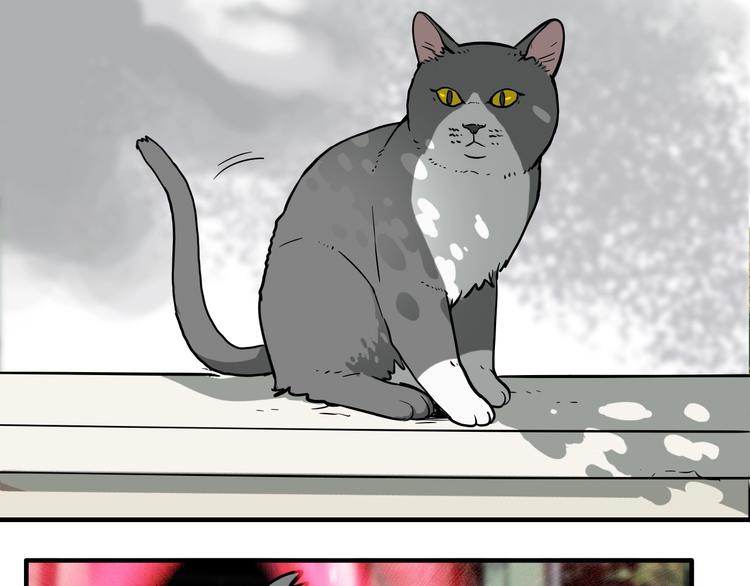 第19话 群猫2