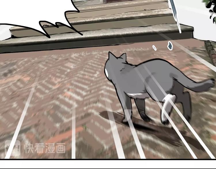 第19话 群猫48