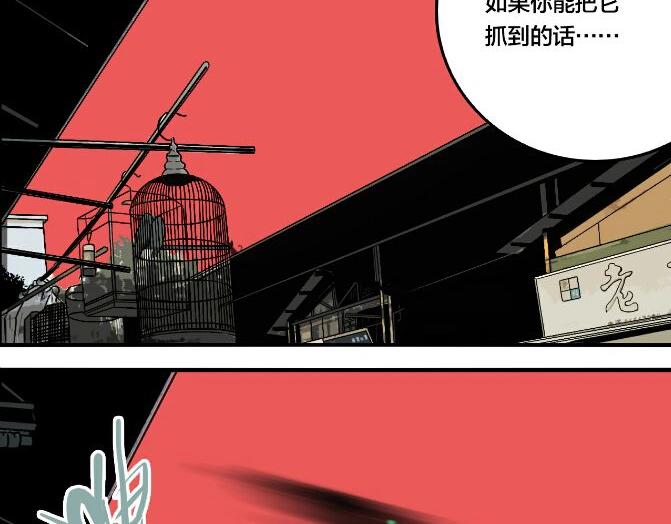 第43话 宠物市场111