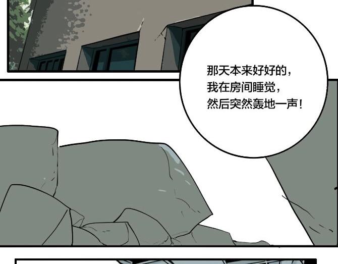 第43话 宠物市场1
