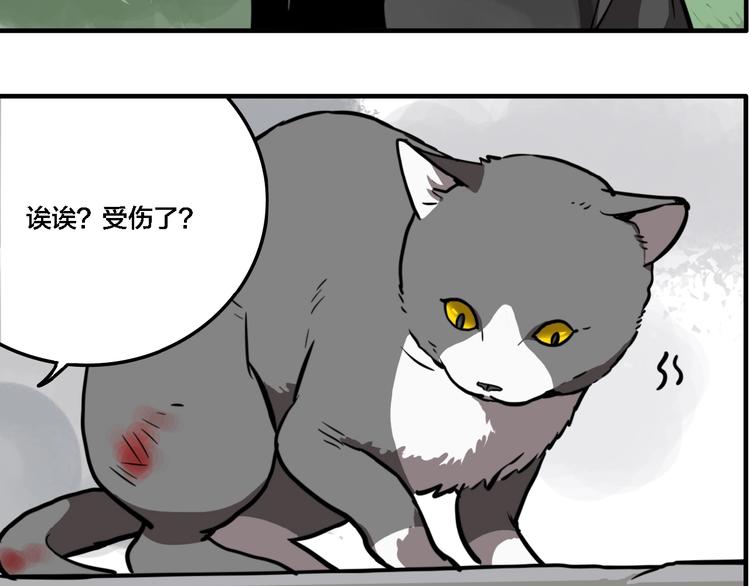 第19话 群猫19