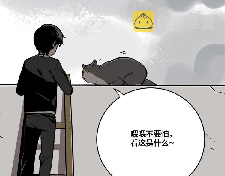 第19话 群猫31