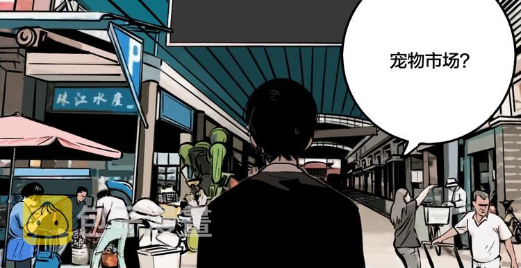 第43话 宠物市场49