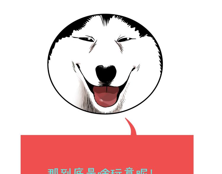 第43话 宠物市场114