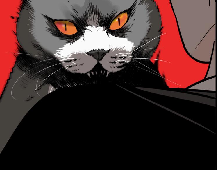第19话 群猫44