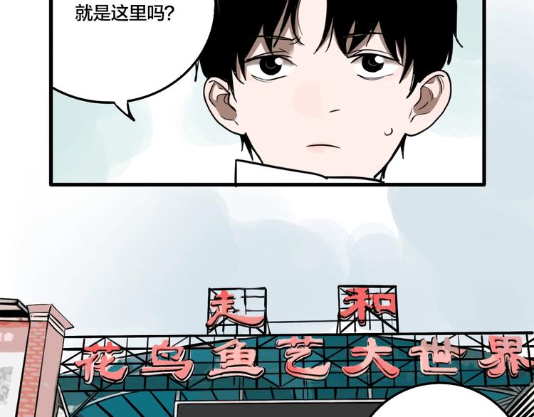第43话 宠物市场48