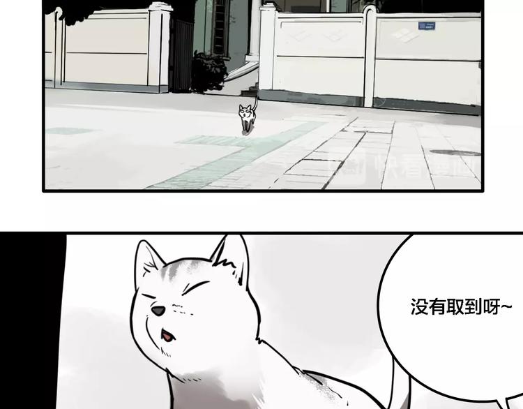 第19话 群猫94