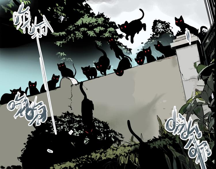 第19话 群猫52