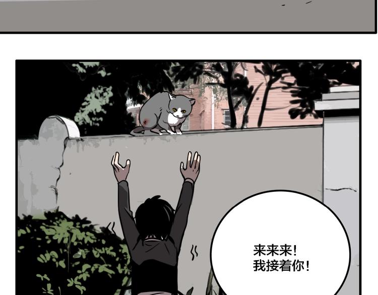 第19话 群猫20