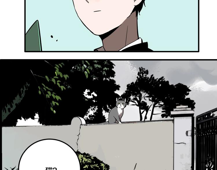 第19话 群猫16