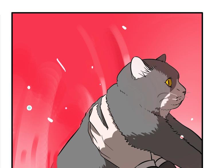 第19话 群猫38