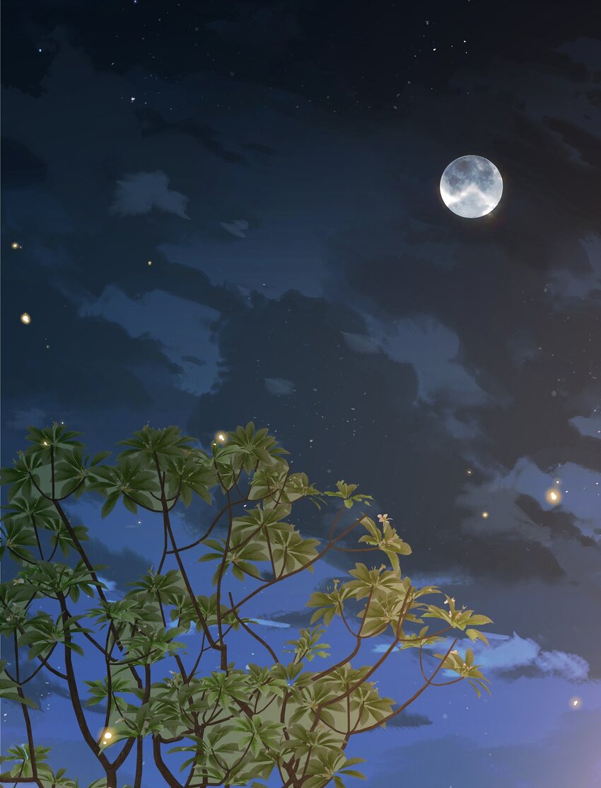 048 有时候，还是想他们5