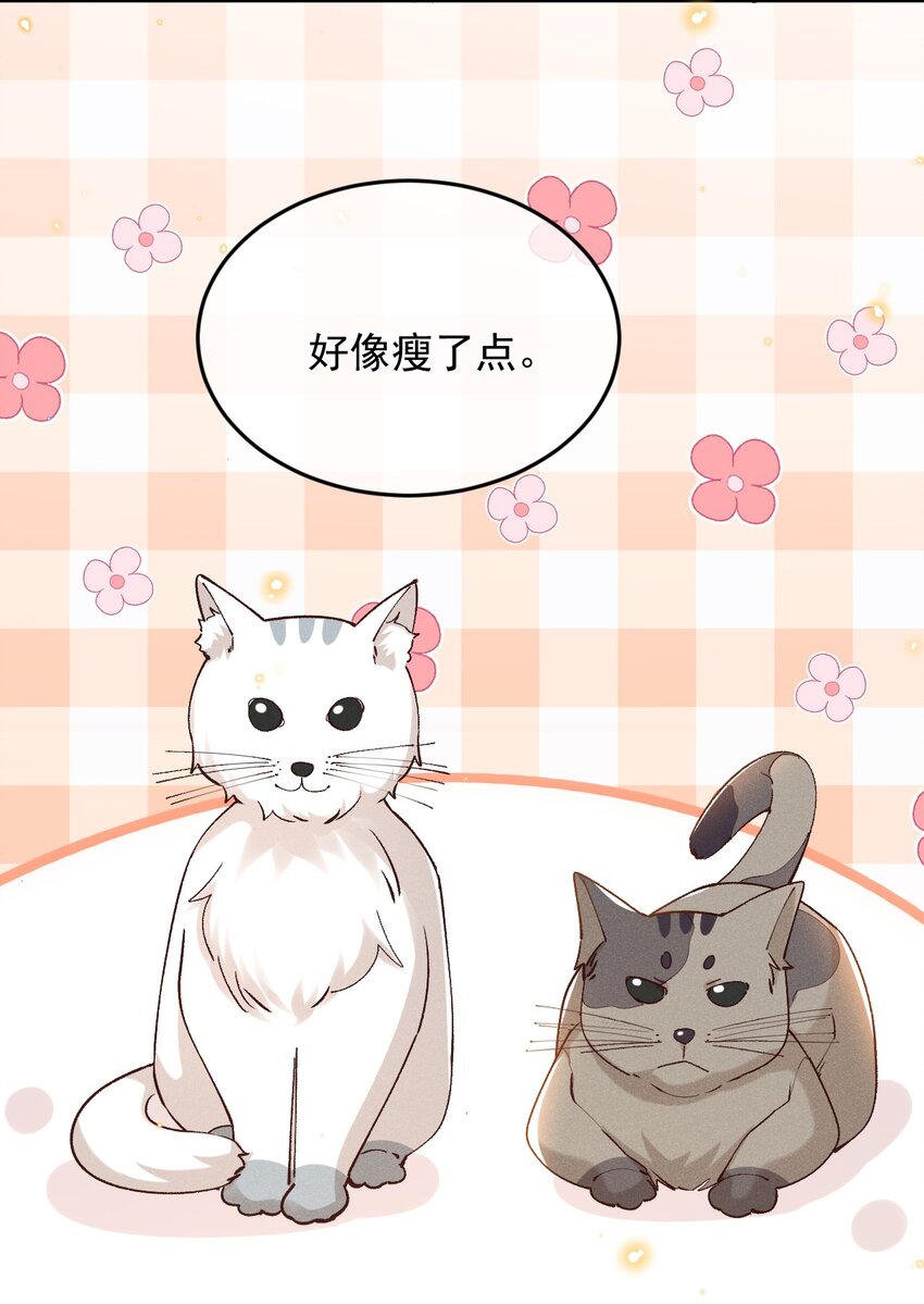 031 我怕是魔怔了14