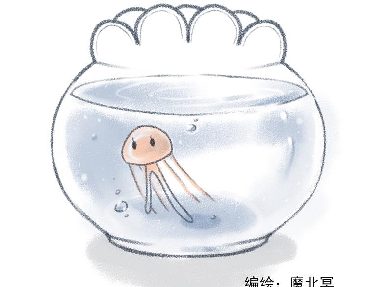 番外 小说与现实1