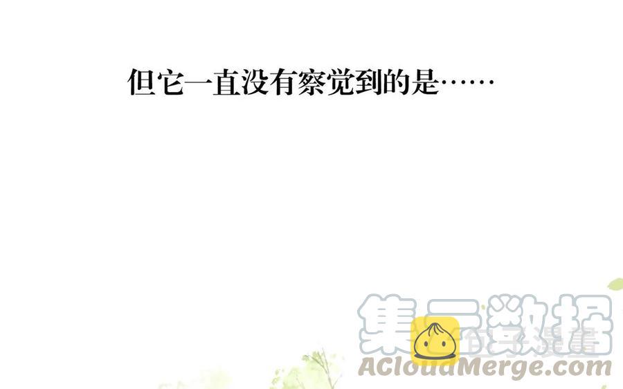 第166话 雄鹰与种子（下）60