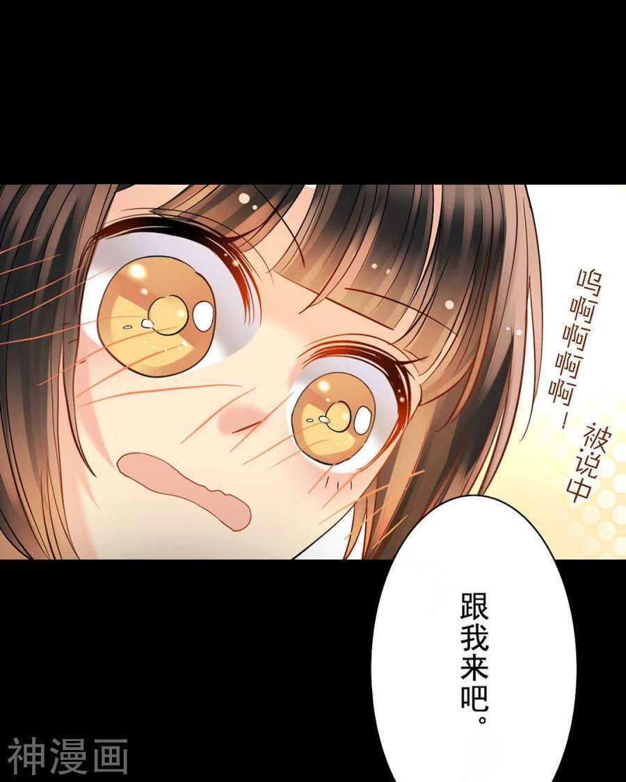 番外 一只小水母12
