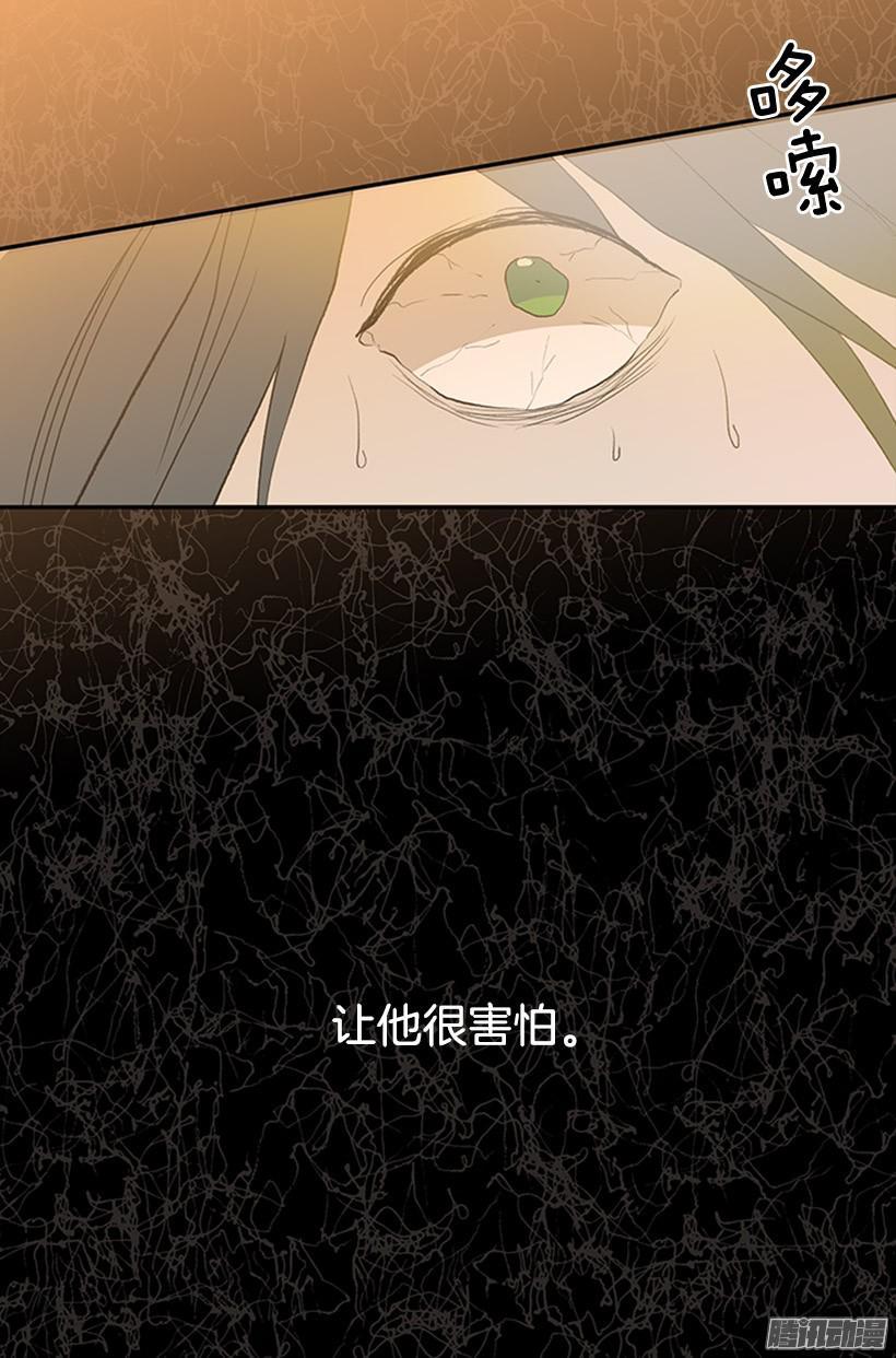 鼠王现身23