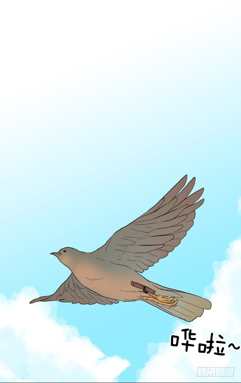 飞鸽传书1
