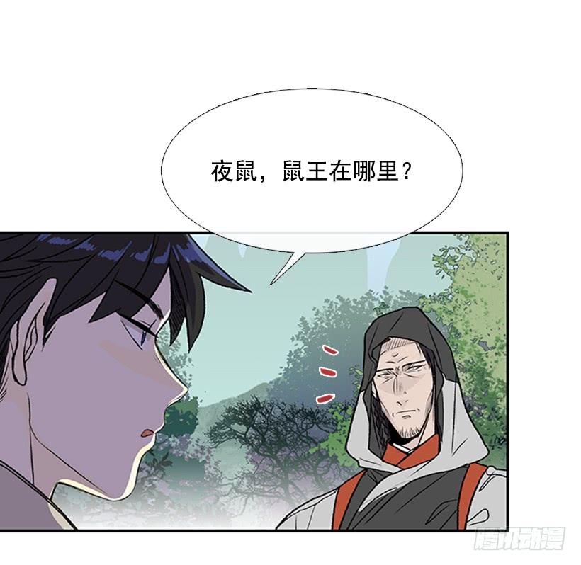 较量19