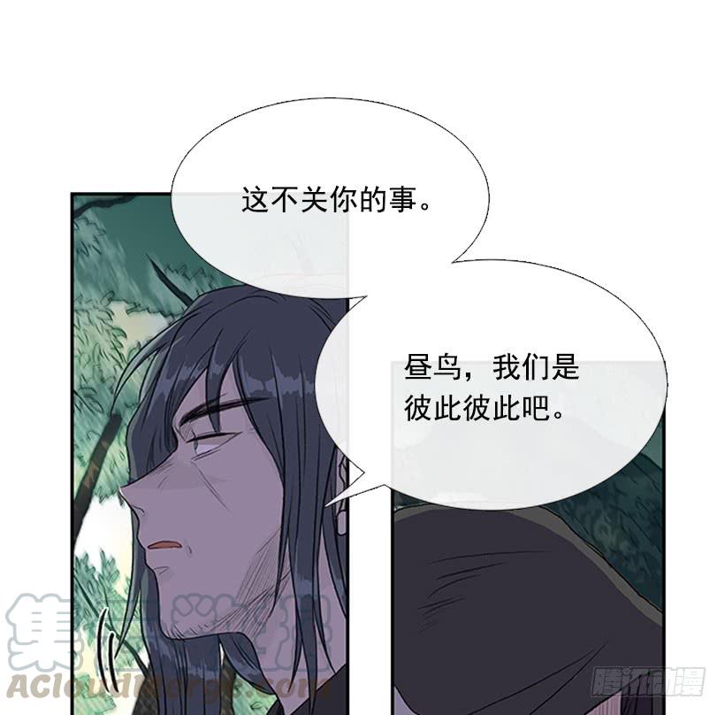 昼鸟12