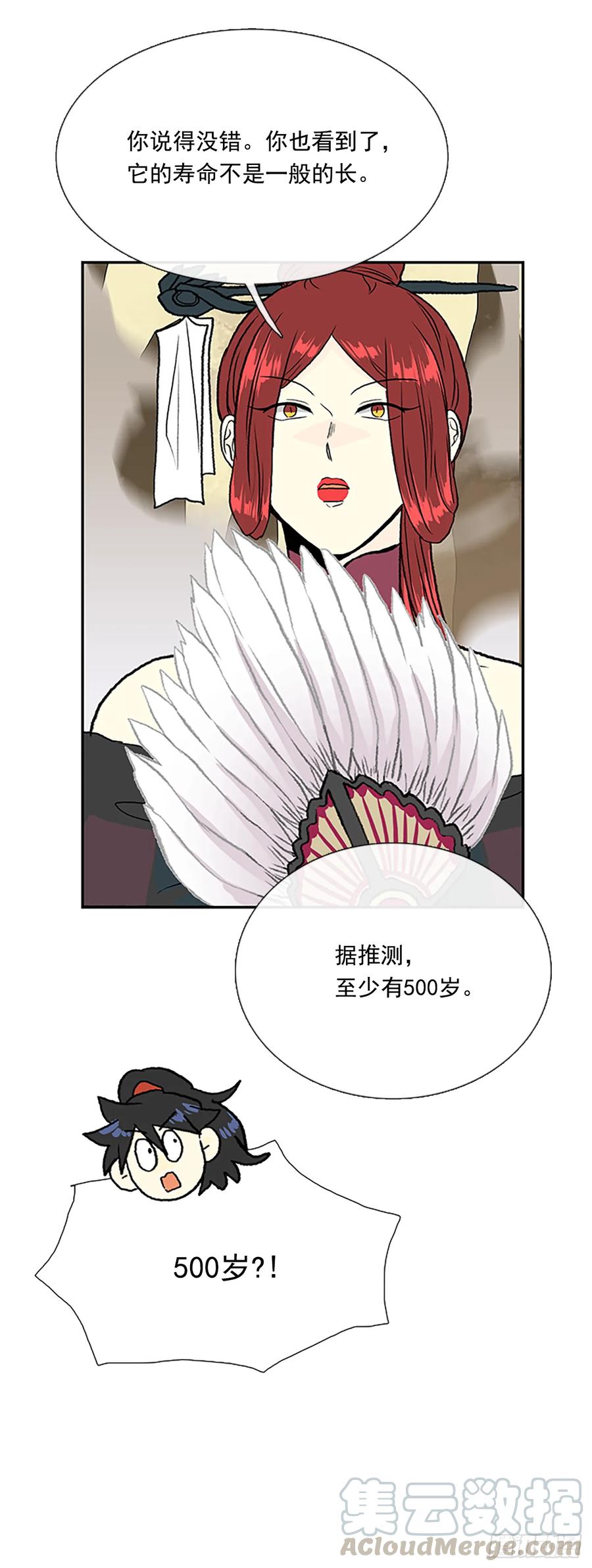 人面蜘蛛12