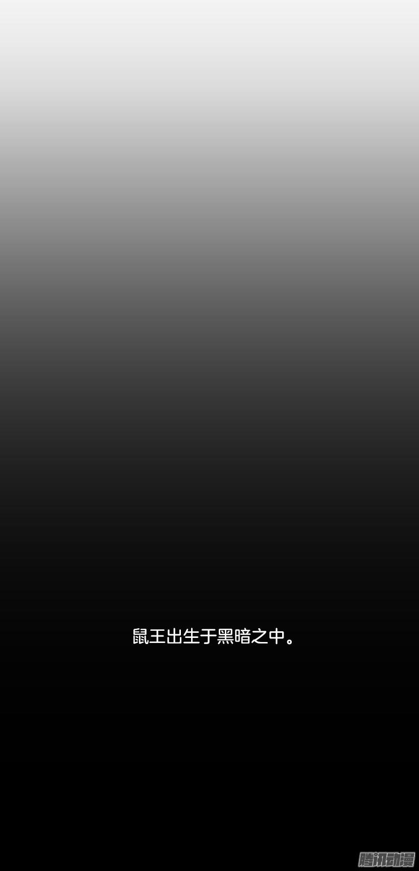 鼠王现身14