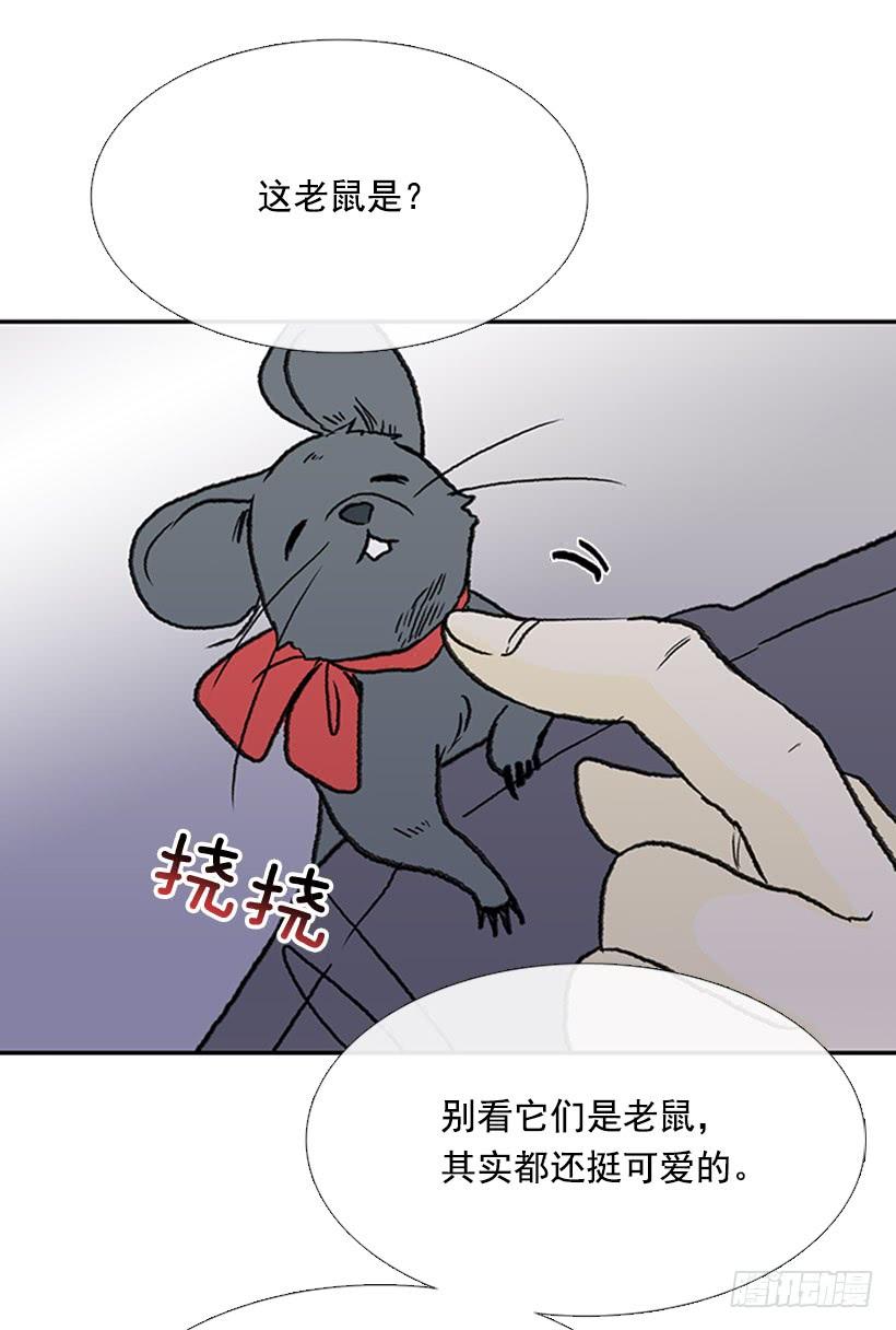 信使6