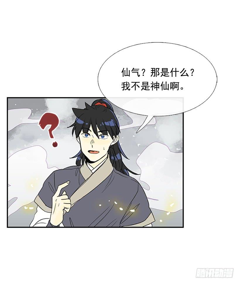 仙境31