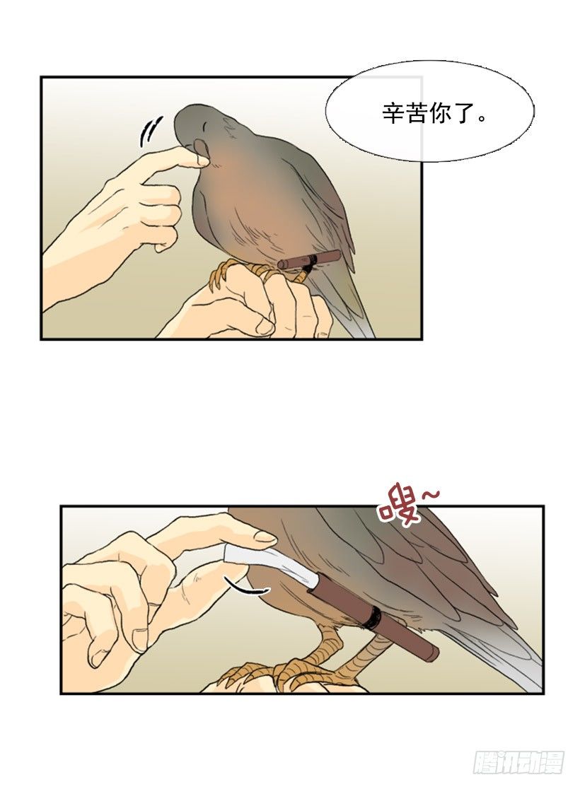 飞鸽传书6