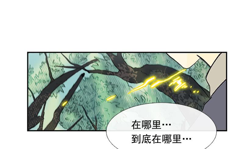 仙境5