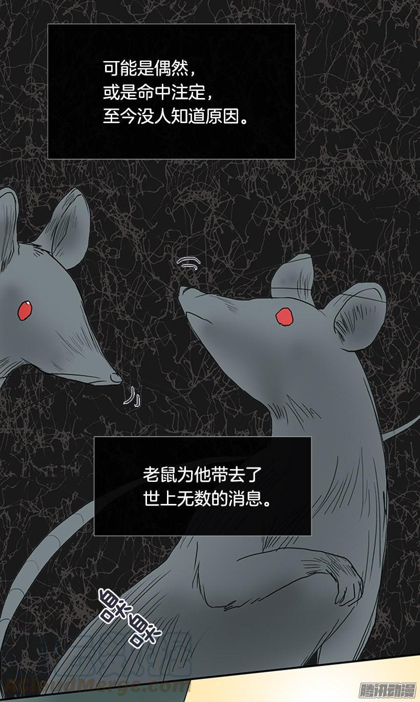 鼠王现身30