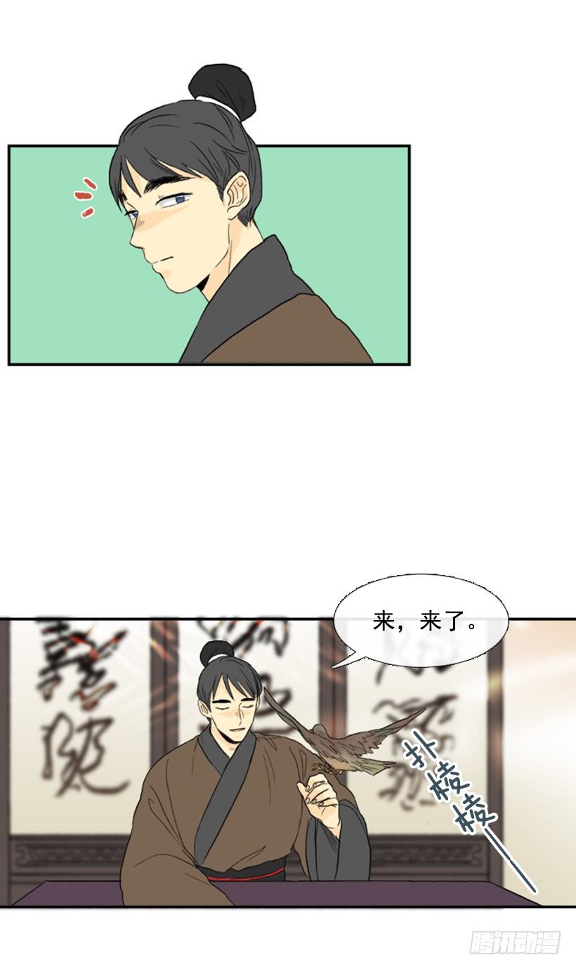 飞鸽传书5