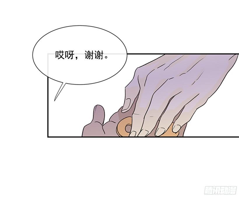 集市17
