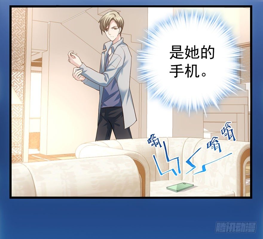 杜绝偷猫贼8