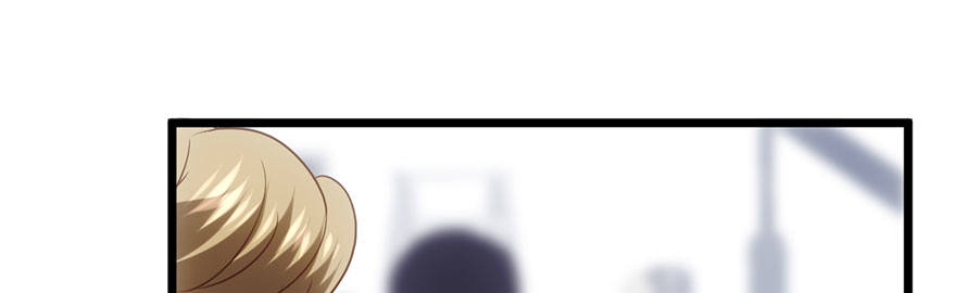 猫的报恩40